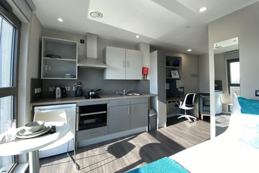 1 bed studio, Little Patrick Street, Holylands, Belfast, BT151BH - Image 3